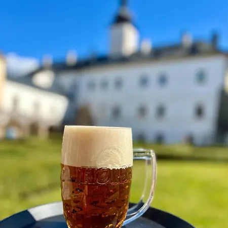 Hotel Zamek Letohrad